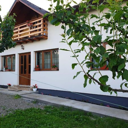 Pensiunea Ilea Ieud Dış mekan fotoğraf