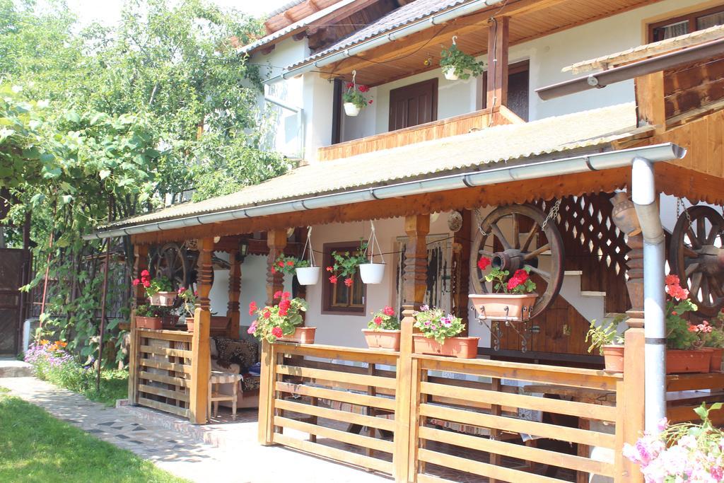 Pensiunea Ilea Ieud Dış mekan fotoğraf