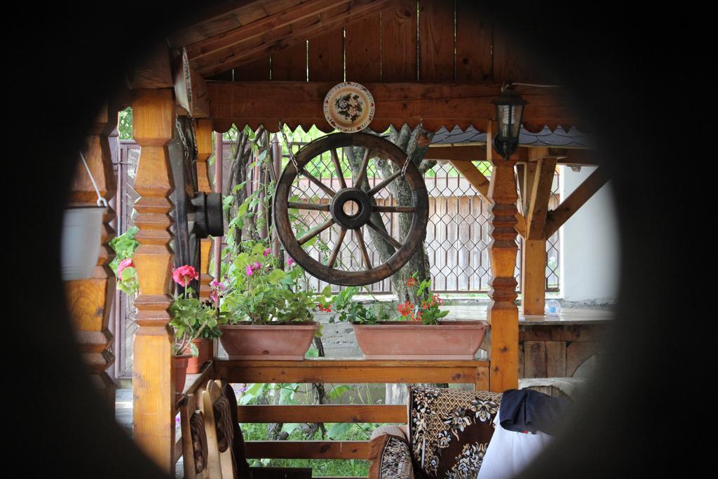 Pensiunea Ilea Ieud Dış mekan fotoğraf