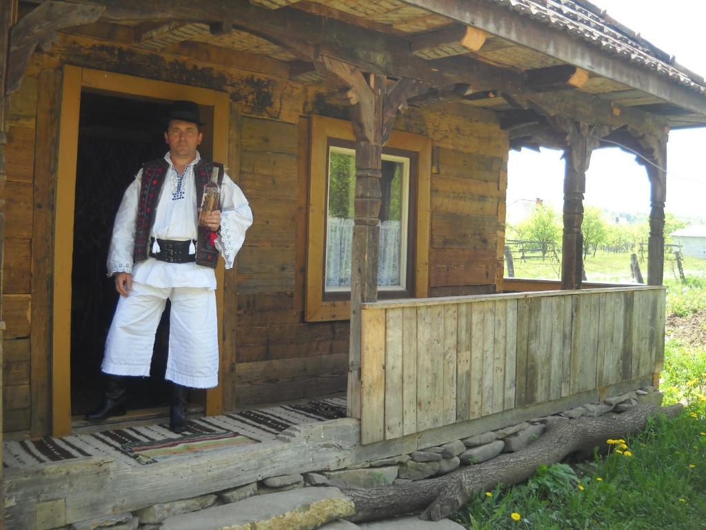 Pensiunea Ilea Ieud Dış mekan fotoğraf