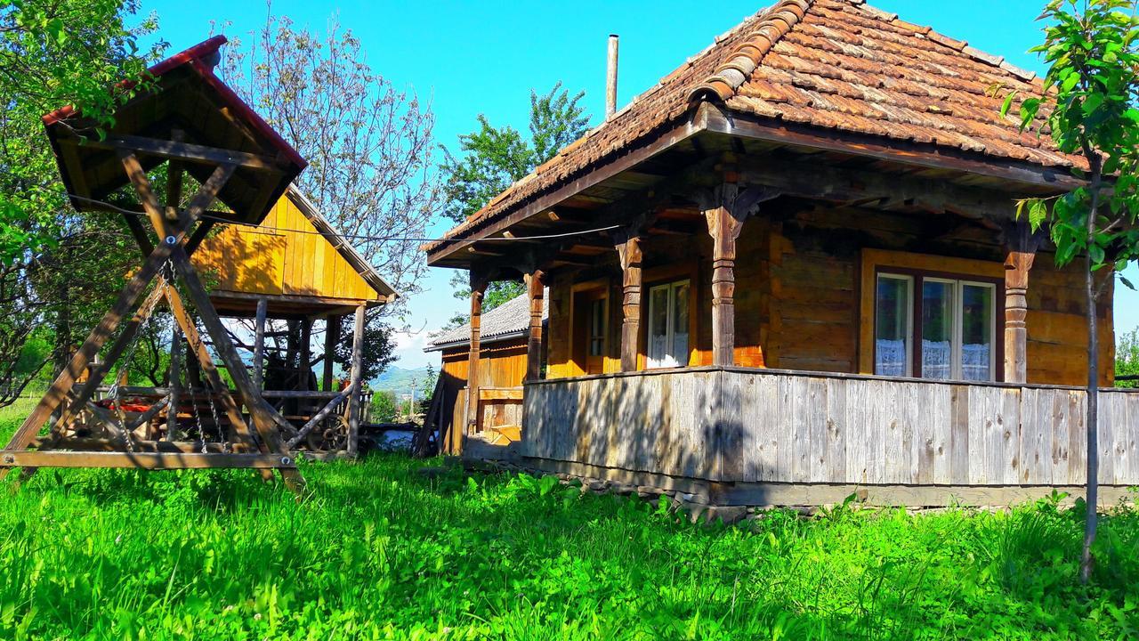 Pensiunea Ilea Ieud Dış mekan fotoğraf
