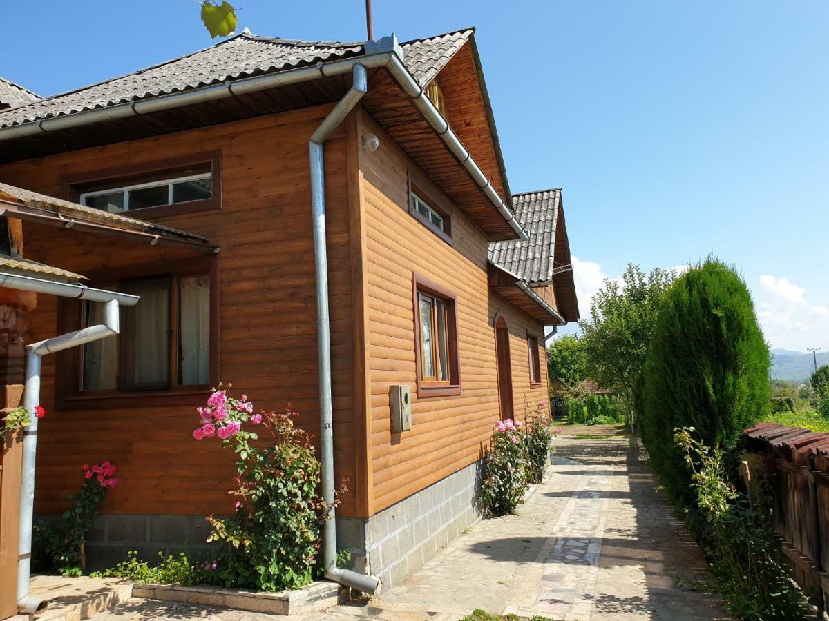 Pensiunea Ilea Ieud Dış mekan fotoğraf