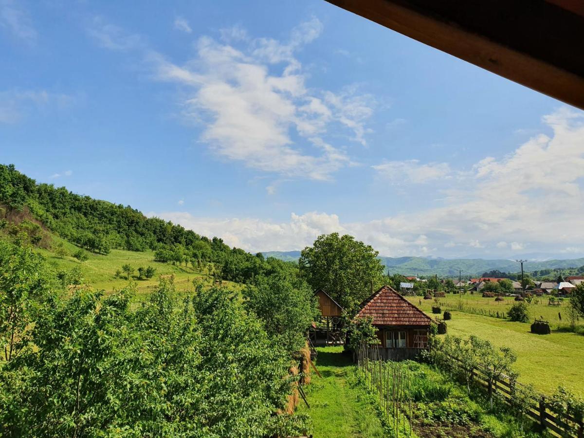 Pensiunea Ilea Ieud Dış mekan fotoğraf