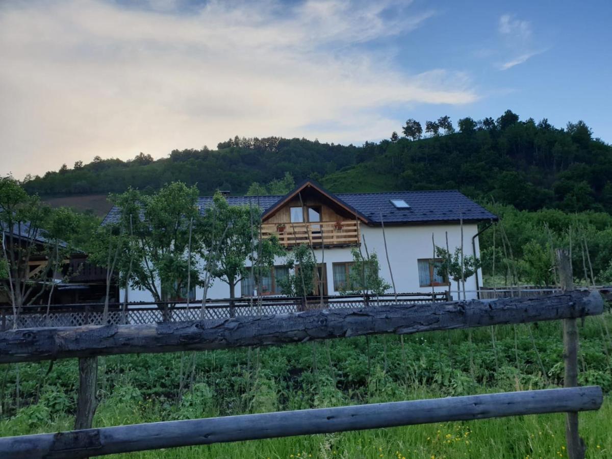 Pensiunea Ilea Ieud Dış mekan fotoğraf